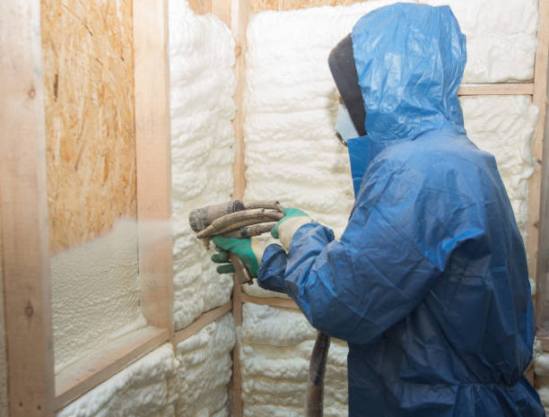  Skidway Lake, MI Insulation Pros